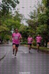 thumbnailcarreradelasrosas_1_78d33400-7ef0-44c1-874d-76be1593abe2_7771.jpg