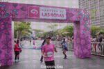 thumbnailcarreradelasrosas_1_b6a43510-63a0-4202-b34d-f7274cae2023_17566.jpg