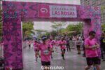 thumbnailcarreradelasrosas_1_b6a43510-63a0-4202-b34d-f7274cae2023_17982.jpg