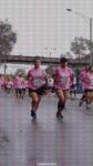 thumbnailcarreradelasrosas_2_c75d52f3-17e9-4af5-b7bb-826139bb3064_206.jpg